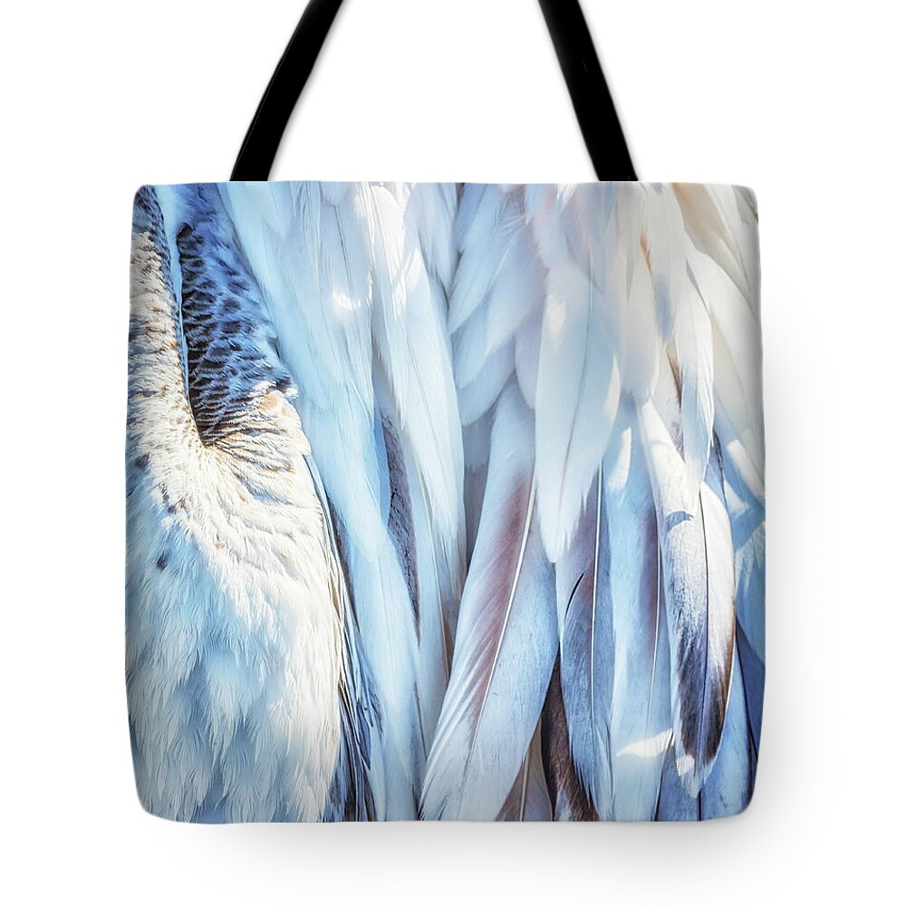 Plumage Tote Bag featuring the photograph Pelican's Plumage by Belinda Greb