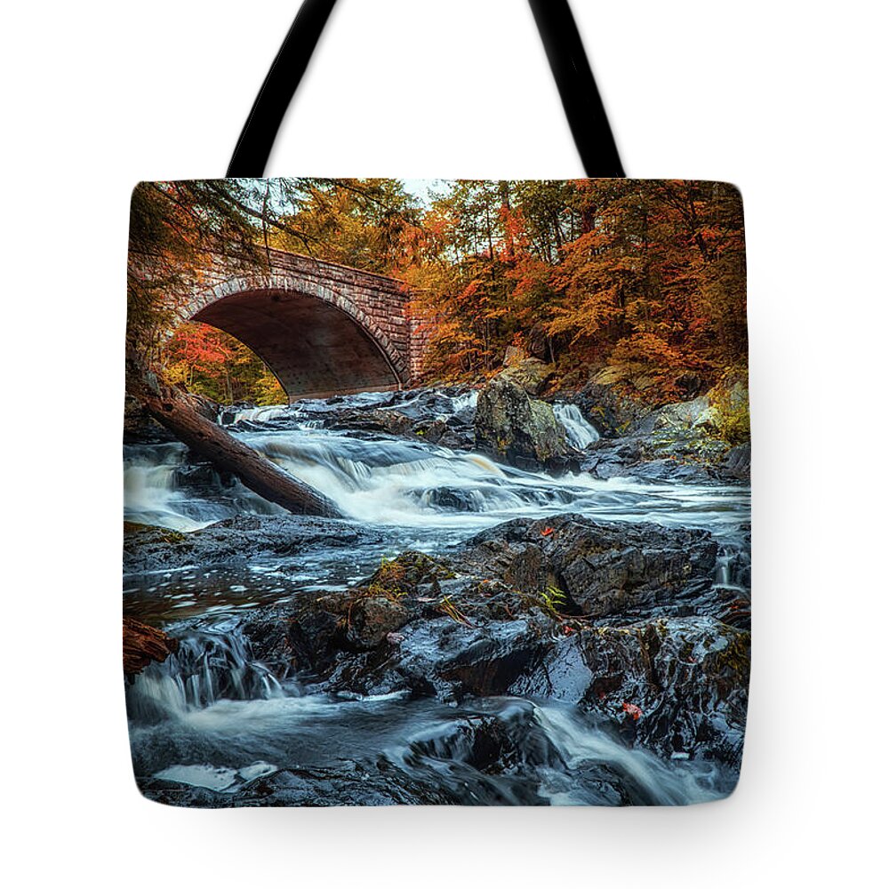 Pemigewasset River Tote Bag featuring the photograph Pemigewasset river in NH by Lilia S