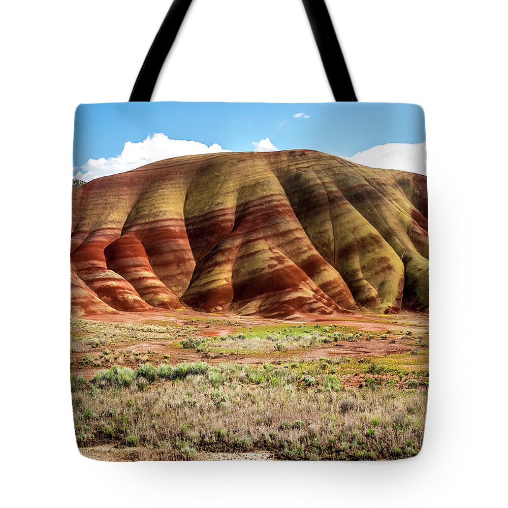 Photo Tote Bag featuring the photograph Pendleton Colors by Greg Sigrist