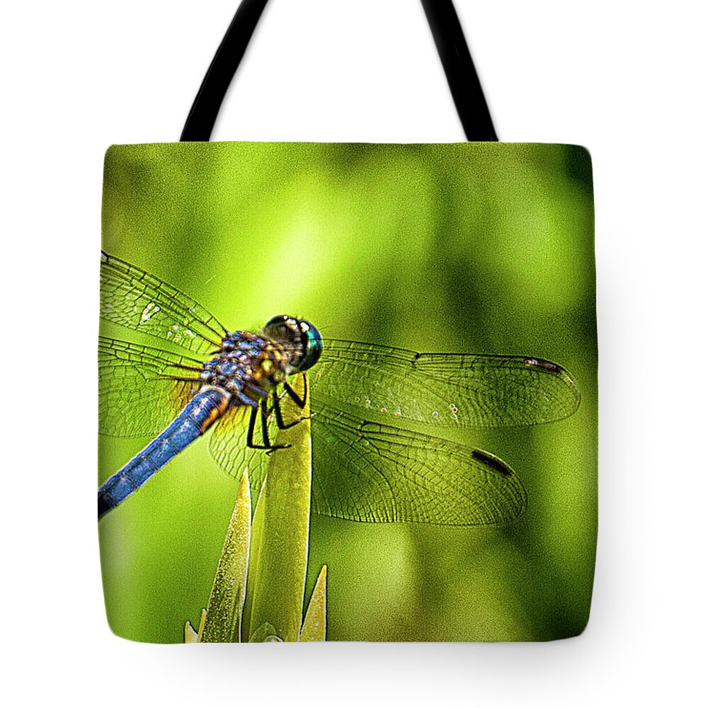 Dragonfly Tote Bag featuring the photograph Pensive Dragon by Bill Barber