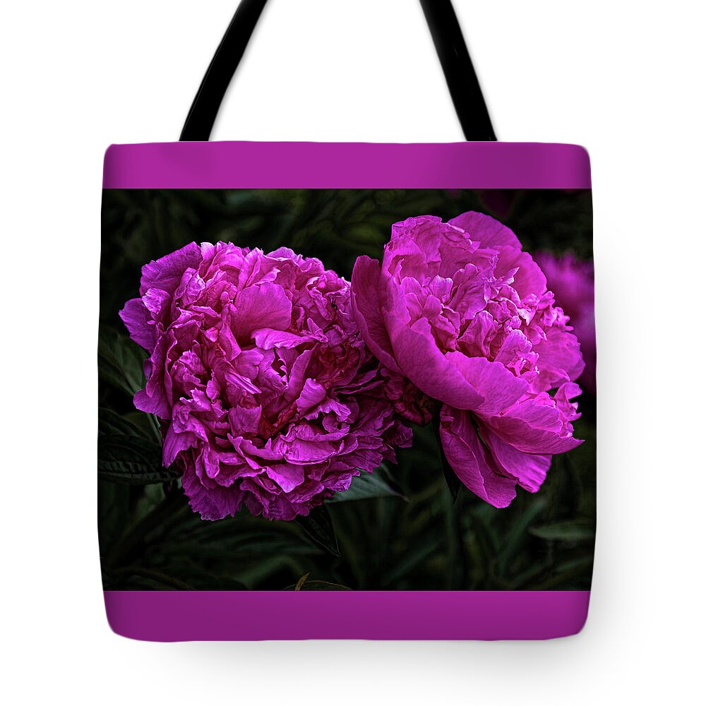 Flowers Tote Bag featuring the photograph Peonies by Elaine Teague