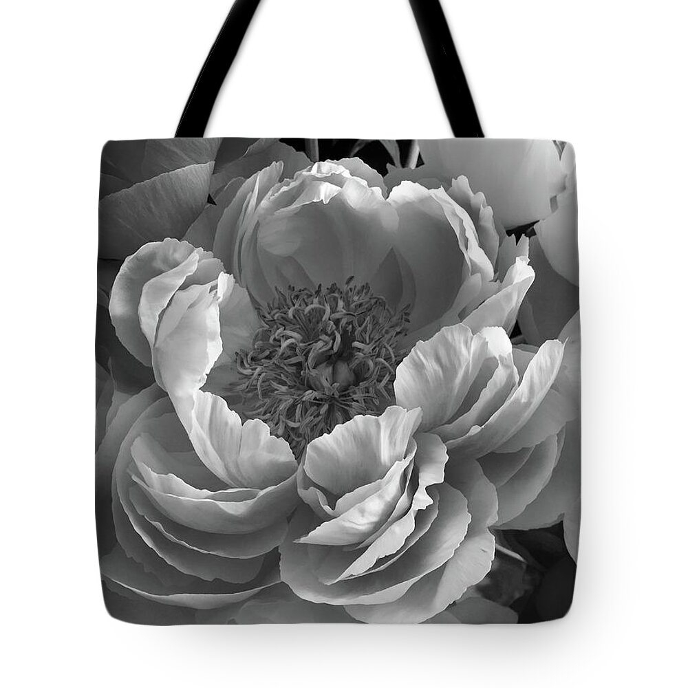 Dramatic Tote Bag featuring the photograph Peonies Series B and W 1-3 by J Doyne Miller