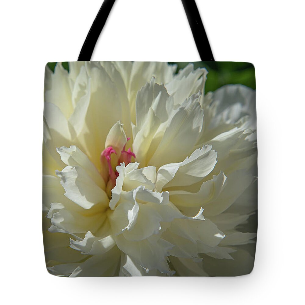 Flower Tote Bag featuring the photograph Peony Up Close by Lynn Thomas Amber