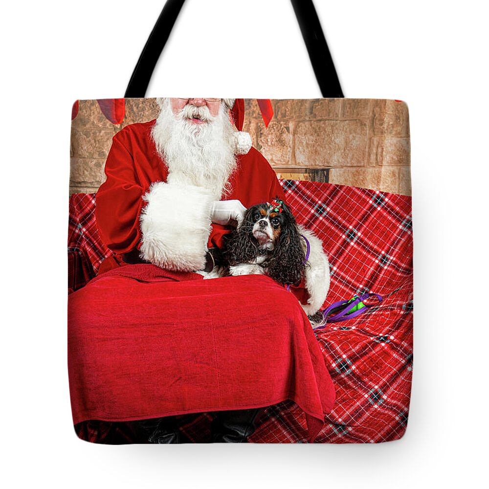 Peppermint Tote Bag featuring the photograph Peppermint with Santa 1 by Christopher Holmes