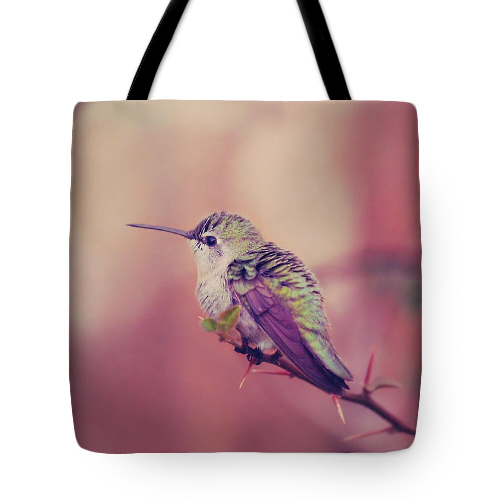 Hummingbirds Tote Bag featuring the photograph Perch by Laurie Search