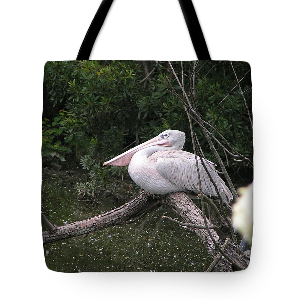 Pelican Tote Bag featuring the photograph Perched by Heather E Harman