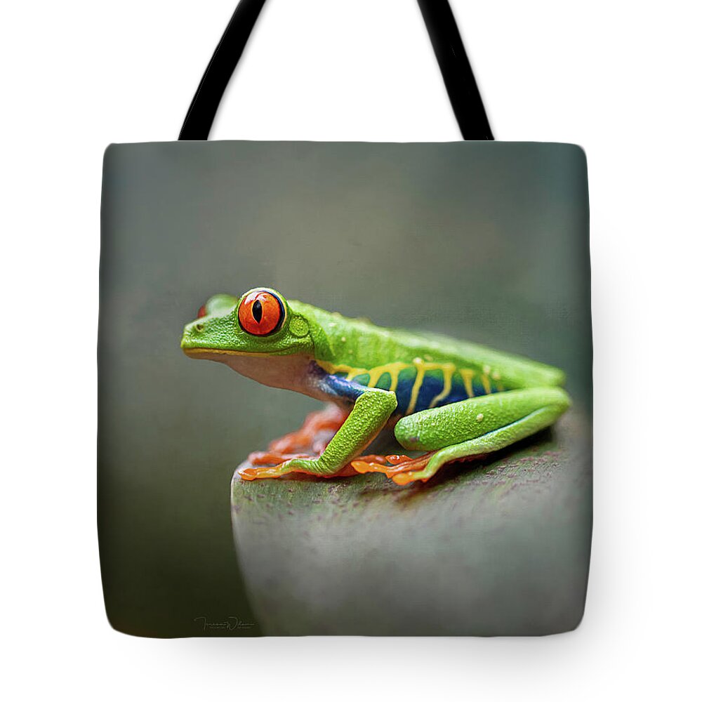 Frog Tote Bag featuring the photograph Perched on a Leaf - Red-Eyed Tree Frog by Teresa Wilson