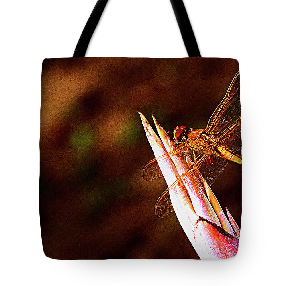 Dragonfly Tote Bag featuring the photograph Perching Dragon by Bill Barber