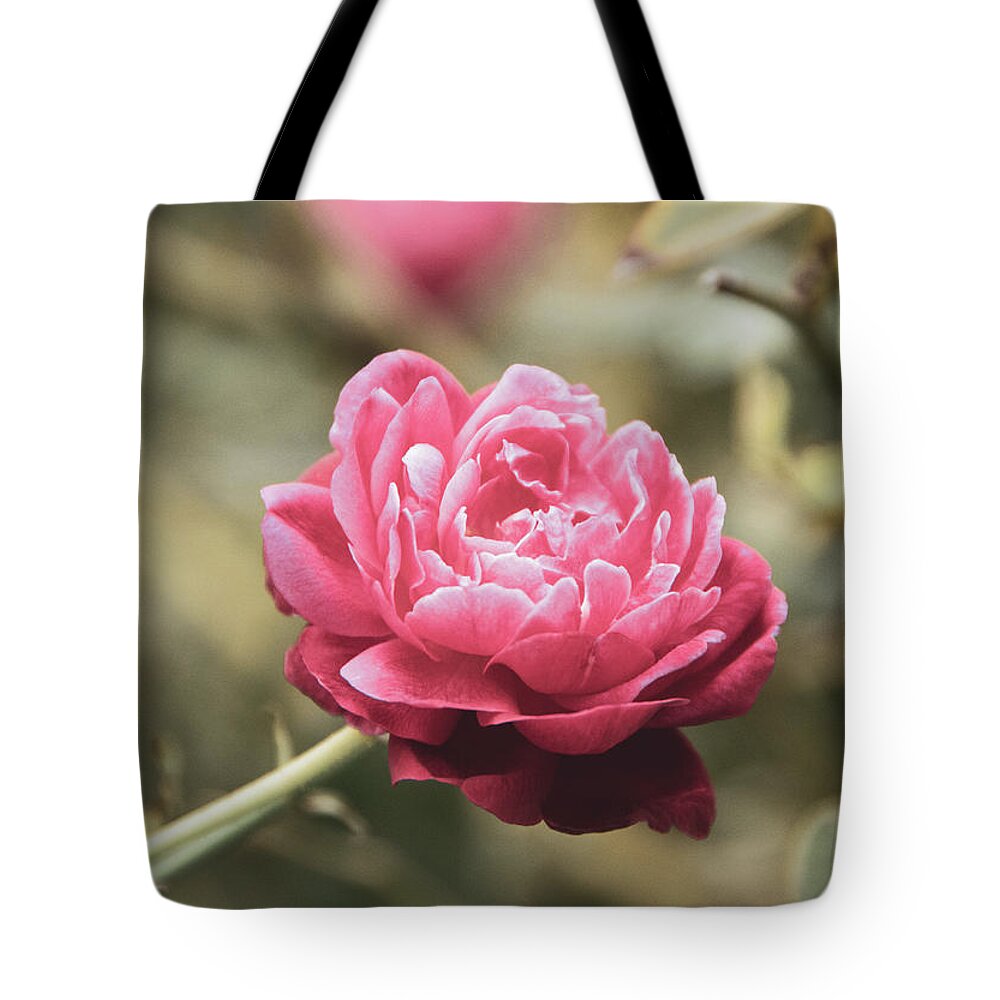 Rose Tote Bag featuring the photograph Perfect Petals Colorized Botanical / Nature / Floral Photograph by PIPA Fine Art - Simply Solid