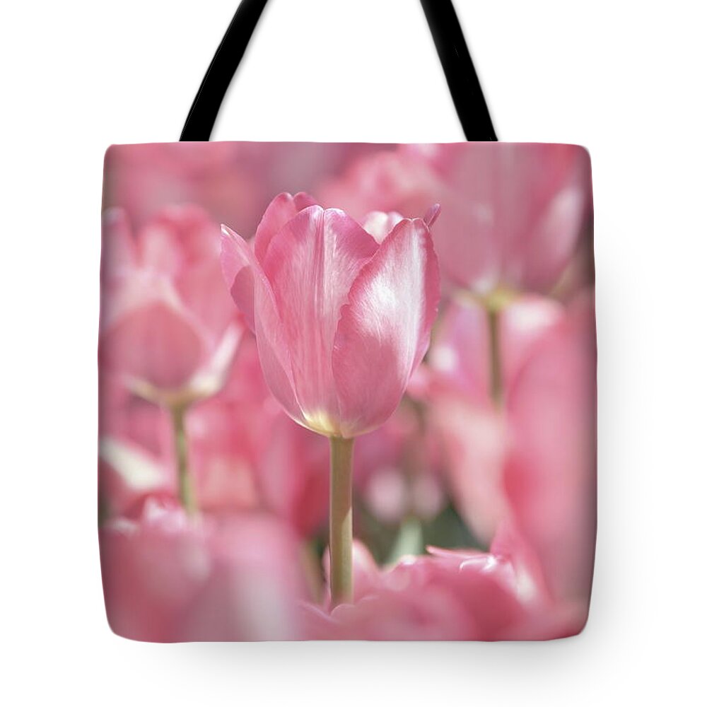Nature Tote Bag featuring the photograph Perfectly Pink by Lens Art Photography By Larry Trager
