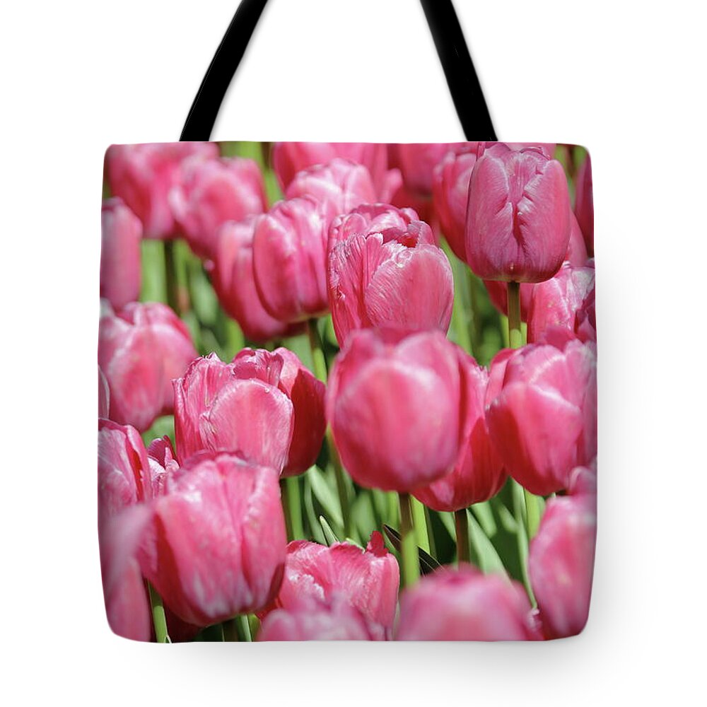 Nature Tote Bag featuring the photograph Perplexing Pink by Lens Art Photography By Larry Trager