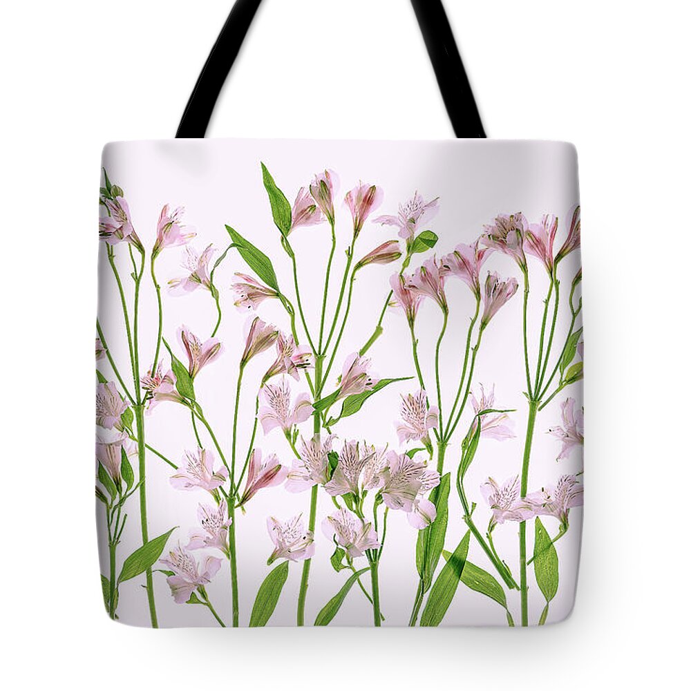 Flowers Tote Bag featuring the photograph Peruvian Lilies by Sylvia Goldkranz