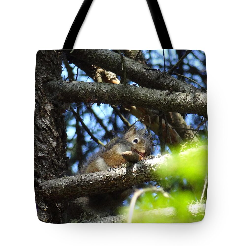 Squirel Tote Bag featuring the photograph PetitSuisse Squirel by Joelle Philibert