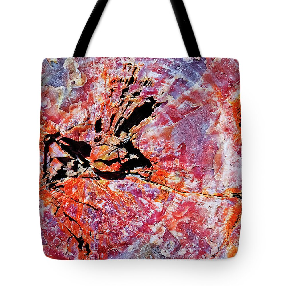 Petrified Forest National Park Tote Bag featuring the photograph Petrified Wood Giant Logs Trail by Kyle Hanson
