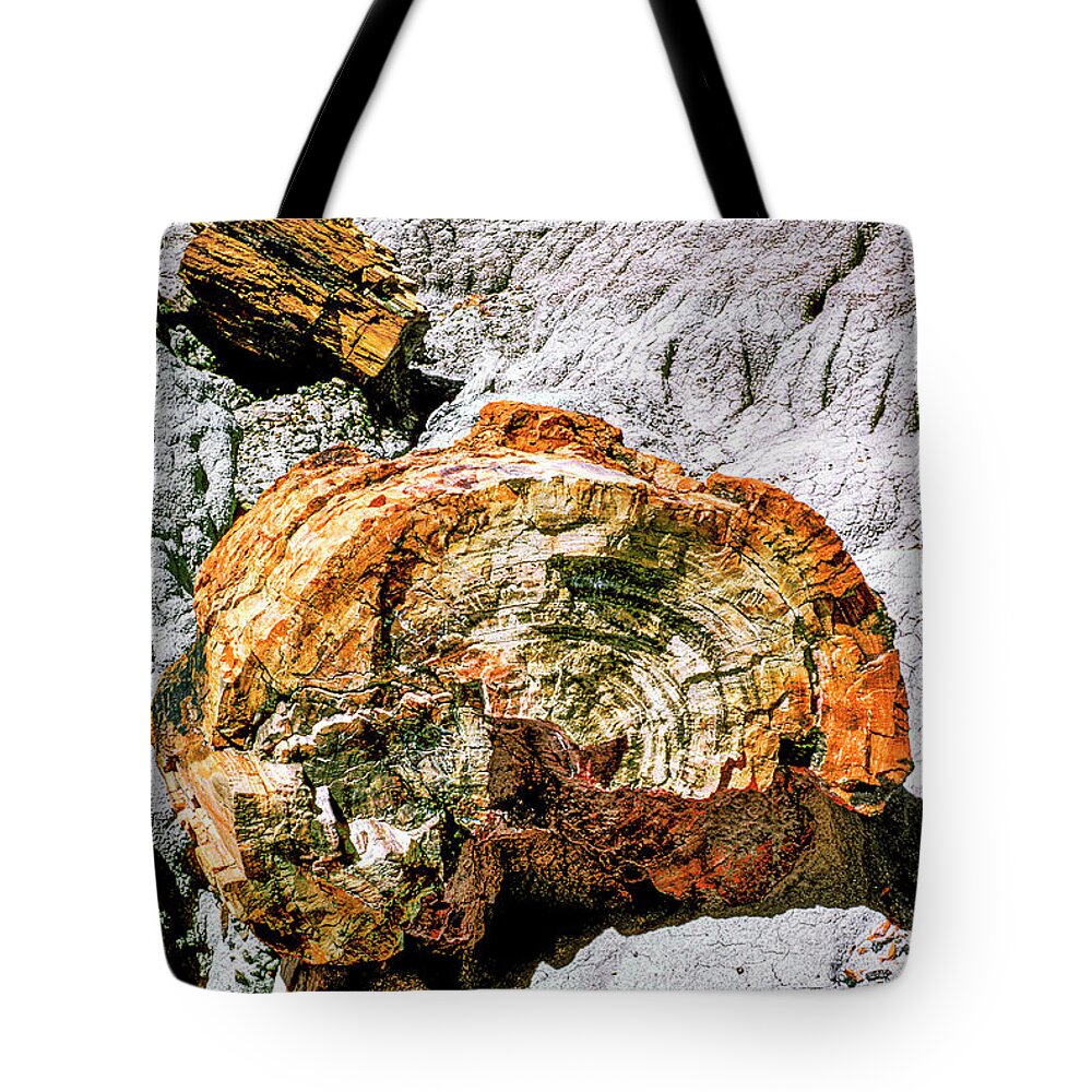 Usa Tote Bag featuring the photograph Petrified Wood by Randy Bradley