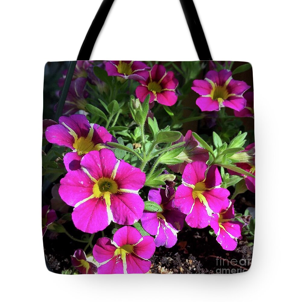 Pink Tote Bag featuring the photograph Petunia by Albert Massimi
