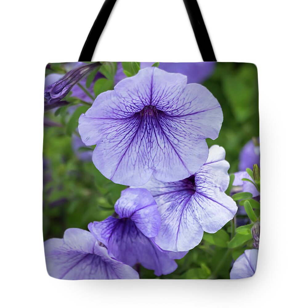 Flower Tote Bag featuring the photograph Petunia Daddy Blue by Dawn Cavalieri