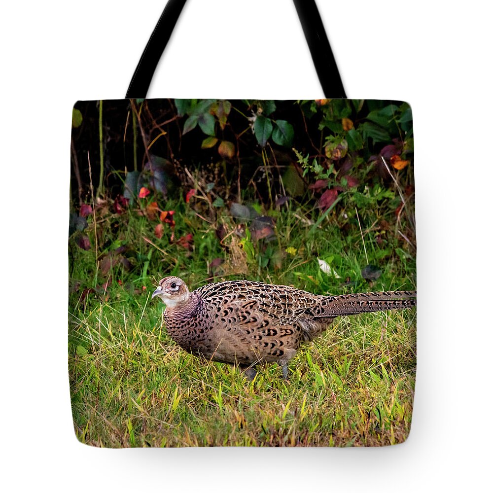 Pheasant Tote Bag featuring the photograph Pheasant Hen by Cathy Kovarik