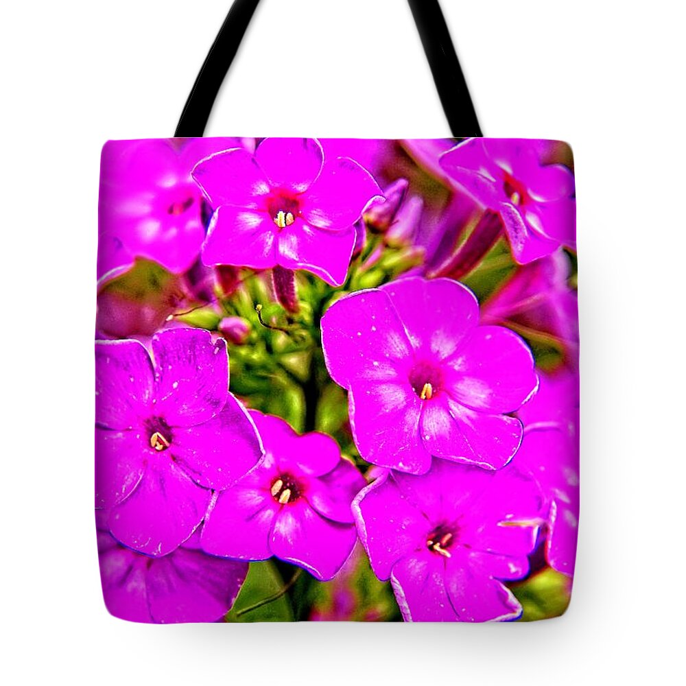 Phlox Tote Bag featuring the photograph Phlox Display by Allen Nice-Webb