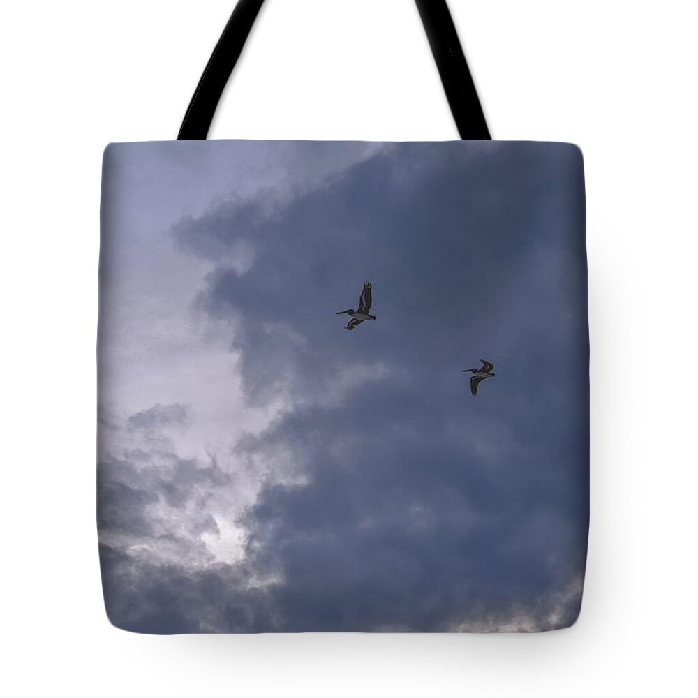 Pelican Tote Bag featuring the photograph Photo 81 Pelicans by Lucie Dumas