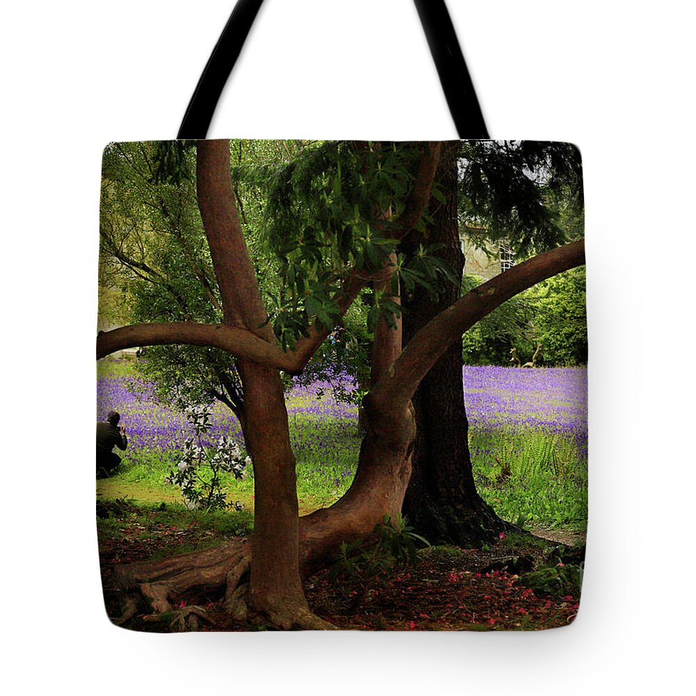 Enys Tote Bag featuring the photograph Photographers Delight by Terri Waters