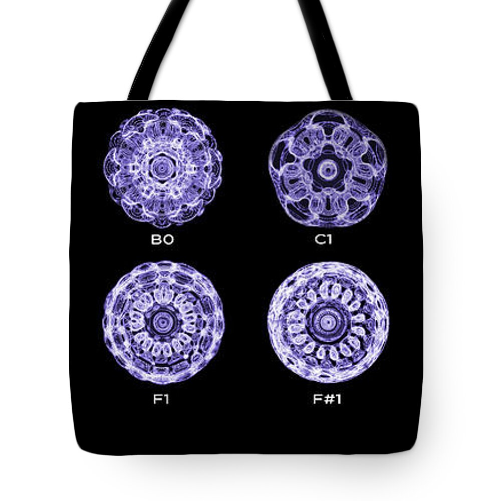 Cymatic Cymatics Sound Image Cymascope Cyma Mmv Vibrational Frequency Piano Notes Tote Bag featuring the photograph Piano Notes-1st Octave by CymaScope