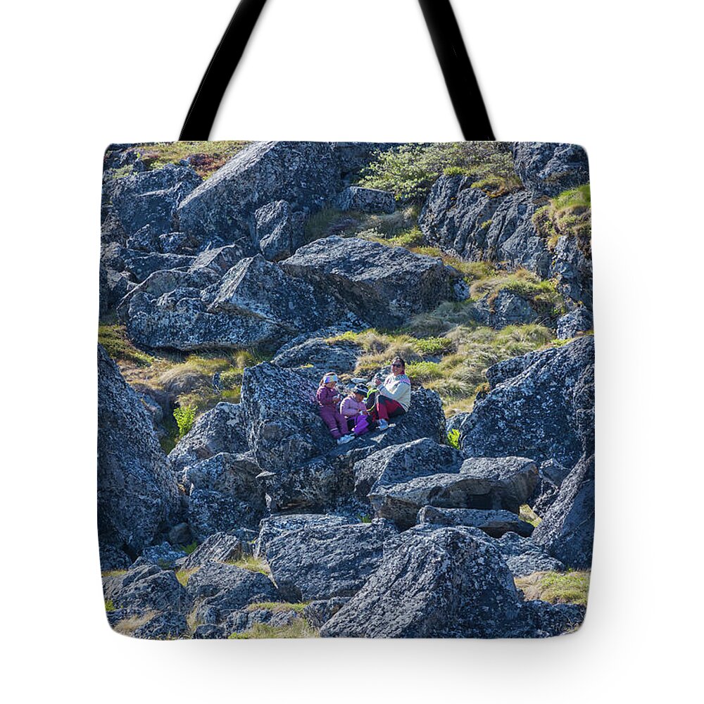 Family Picnic Tote Bags