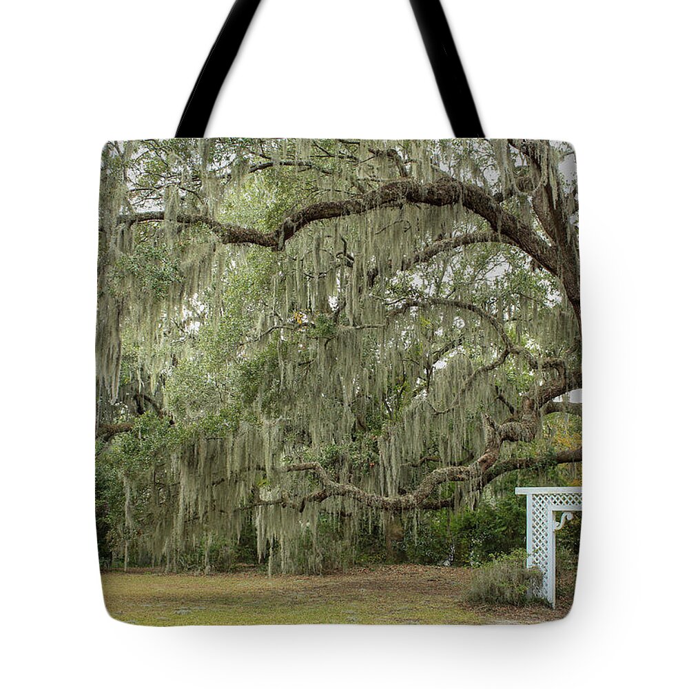 Charleston Tote Bag featuring the photograph Picture Perfect by Cindy Robinson