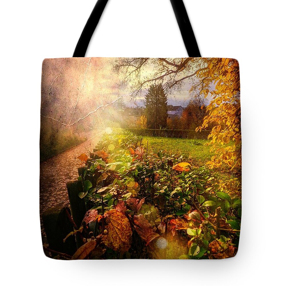 Picturesque Tote Bag featuring the photograph Picturesque Autumn by Claudia Zahnd-Prezioso