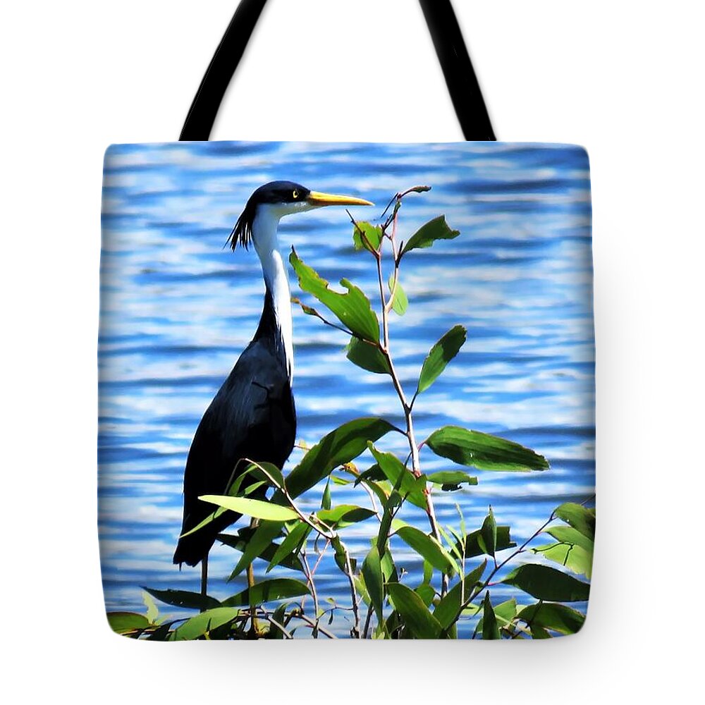 Wildlife Tote Bag featuring the photograph Pied Heron Tree by Joan Stratton