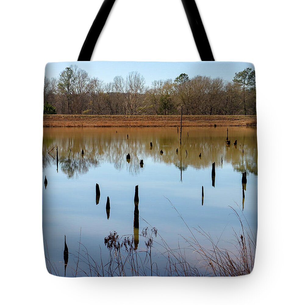 Piedmont National Wildlife Refuge Tote Bag featuring the photograph Piedmont Refuge Stump Overdrive by Ed Williams
