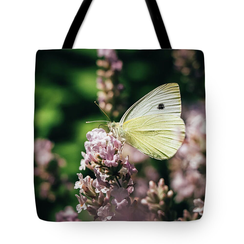 Creature Tote Bag featuring the photograph Pieris rapae sits on pink flower by Vaclav Sonnek