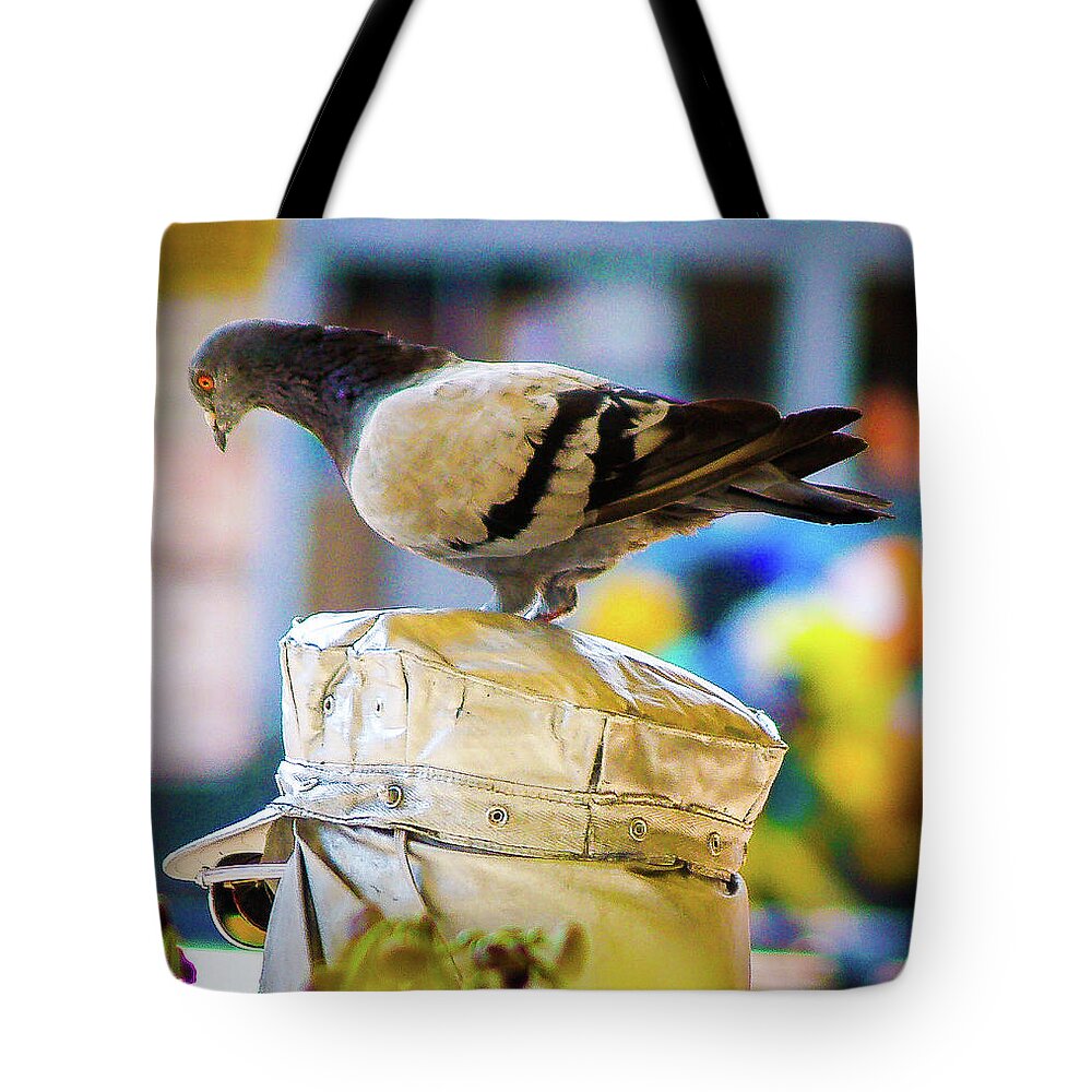 Pigeon Tote Bag featuring the photograph Pigeon Hat by Grey Coopre