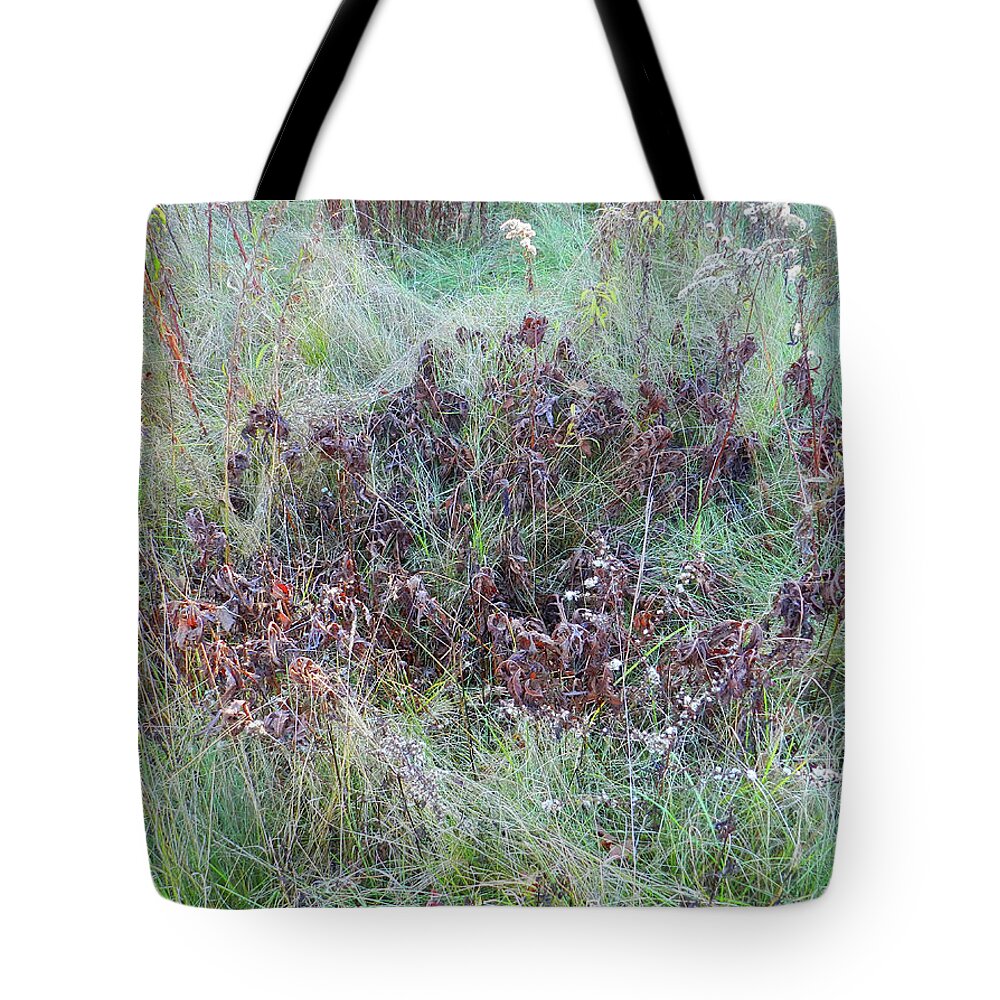 Meadow Tote Bag featuring the photograph Pile of Oak Leaves on the Emerald Green Grass by Lise Winne