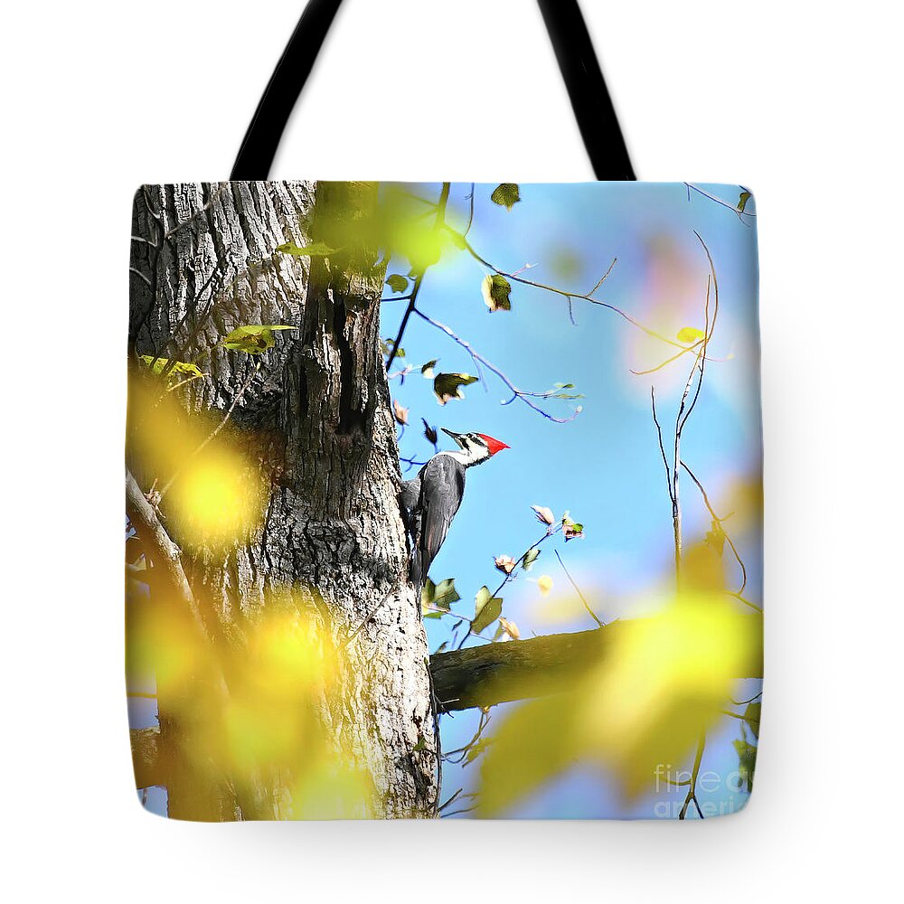 Pileated Woodpecker Tote Bag featuring the photograph Pileated Woodpecker in Autumn by Kerri Farley