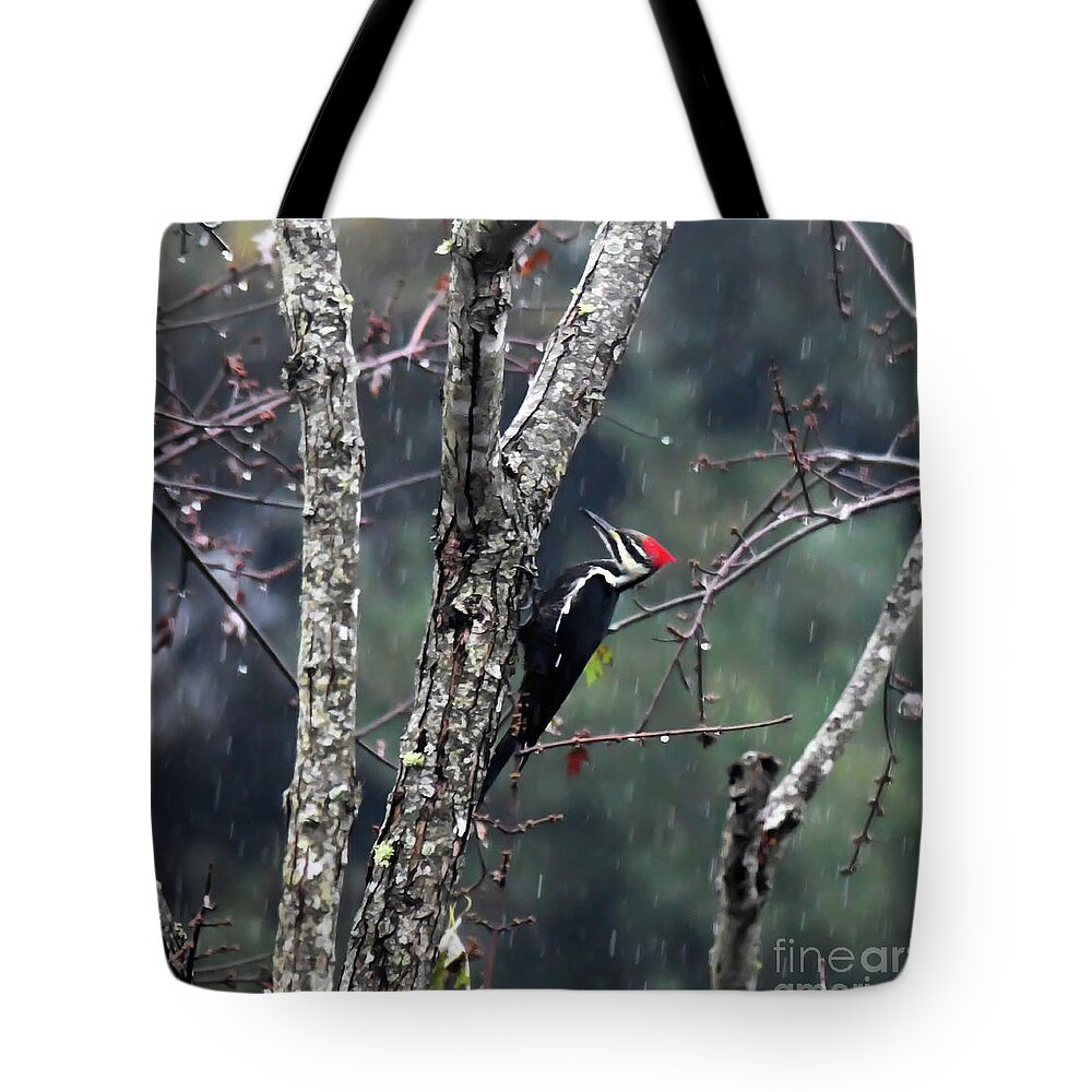 Pileated Woodpecker Tote Bag featuring the photograph Pileated Woodpecker in the Rain by Kerri Farley