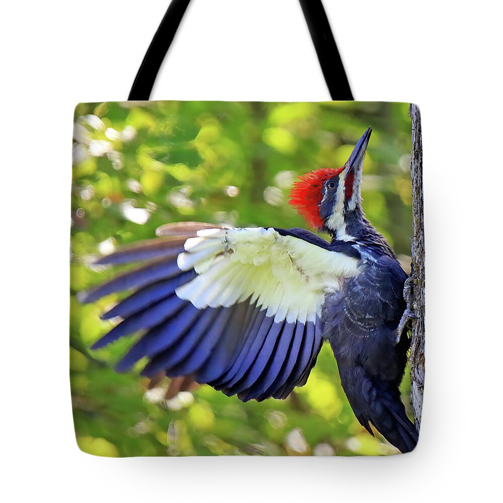 Pileated Woodpecker Tote Bag featuring the photograph Pileated Woodpecker by Shixing Wen