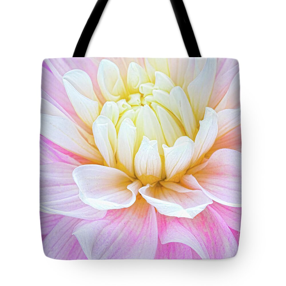 Dahlias Tote Bag featuring the photograph Pillow Dreams by Marilyn Cornwell