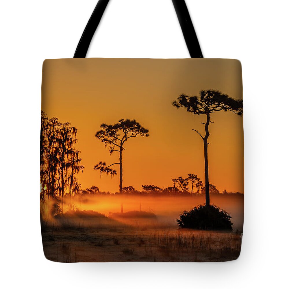 Sun Tote Bag featuring the photograph Pine and Cypress Sunrise by Tom Claud