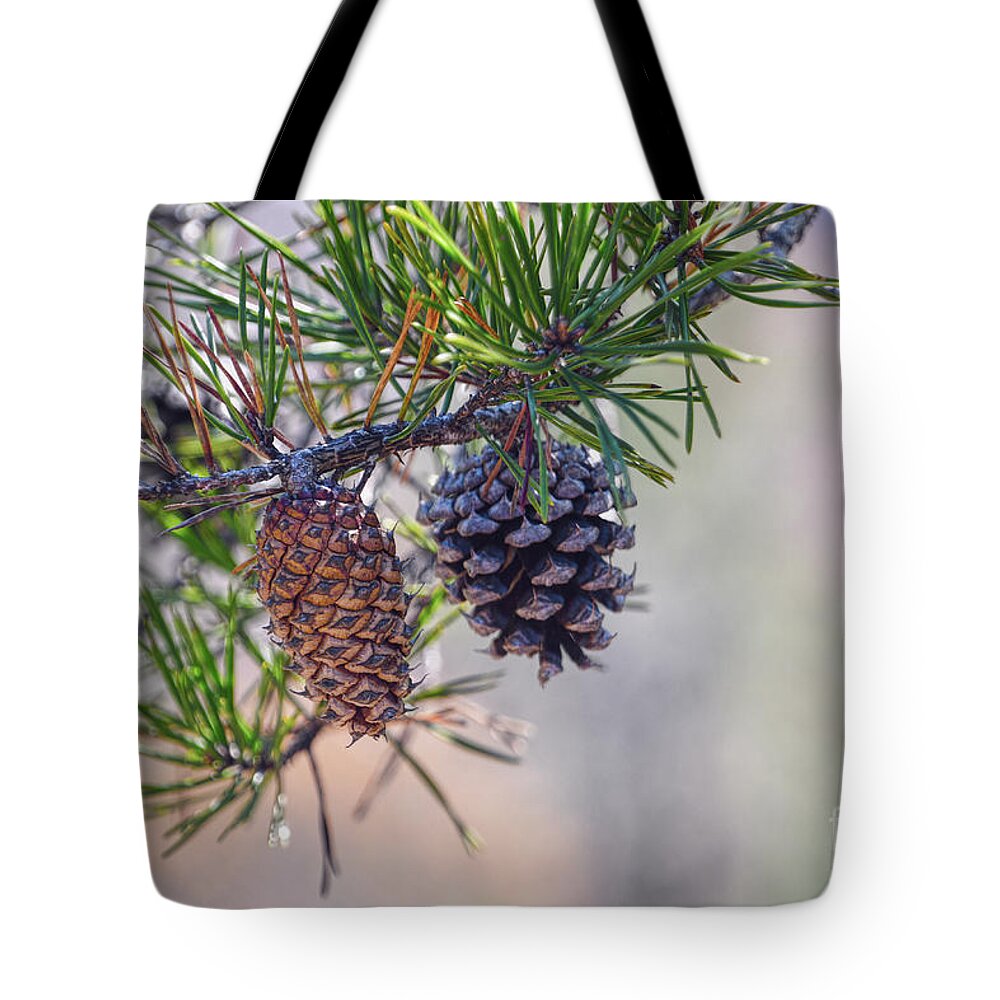 Nature Tote Bag featuring the photograph Pine Cones by Phil Perkins
