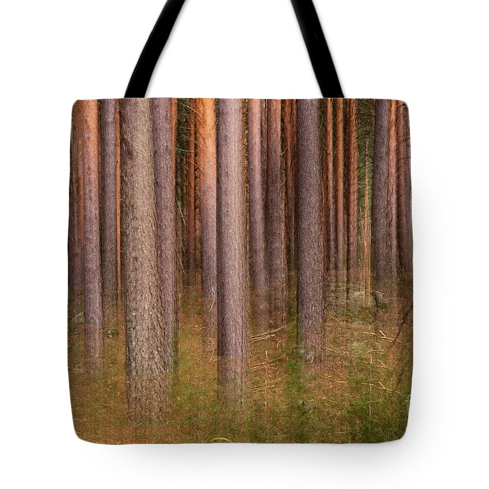 Forest Tote Bag featuring the photograph Pine forest ghost by Hernan Bua