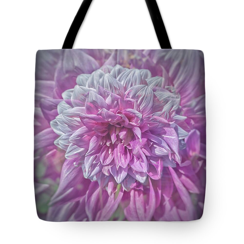 Dahlia Tote Bag featuring the photograph Pink and White Dahlia by Jerry Abbott