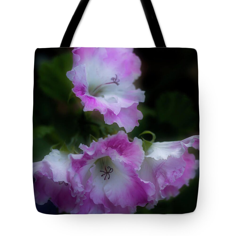 Flowers Tote Bag featuring the photograph Pink and White Frills by Elaine Teague