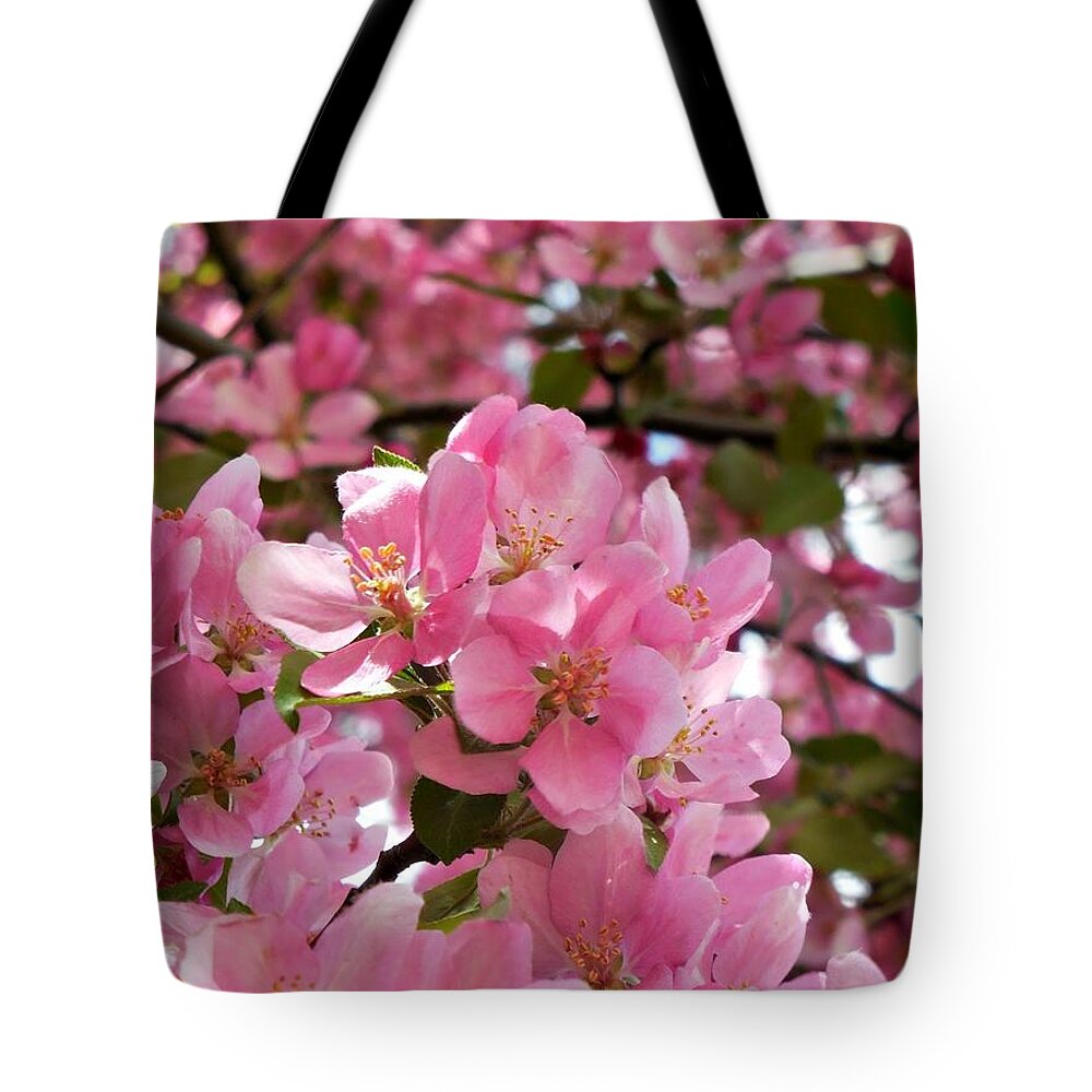 Cherry Blossoms Tote Bag featuring the photograph Pink Blossoms by Amanda R Wright