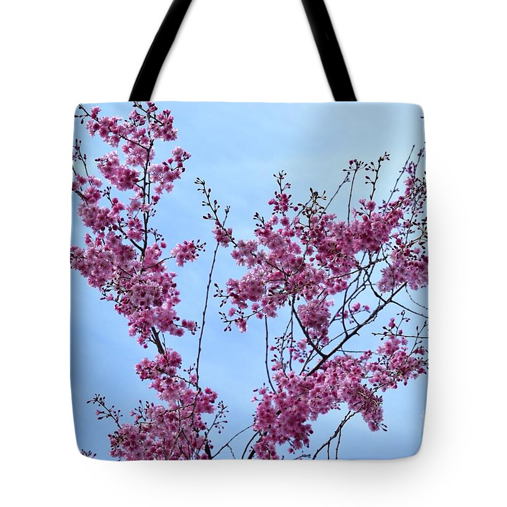 Cherry Blossoms Tote Bag featuring the photograph Pink Branches #1 by Stefania Caracciolo