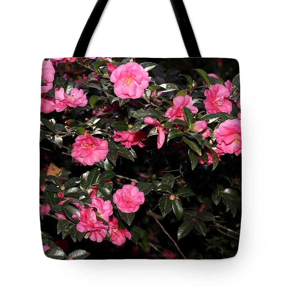 Camellia Tote Bag featuring the photograph Camellia VII by Mingming Jiang