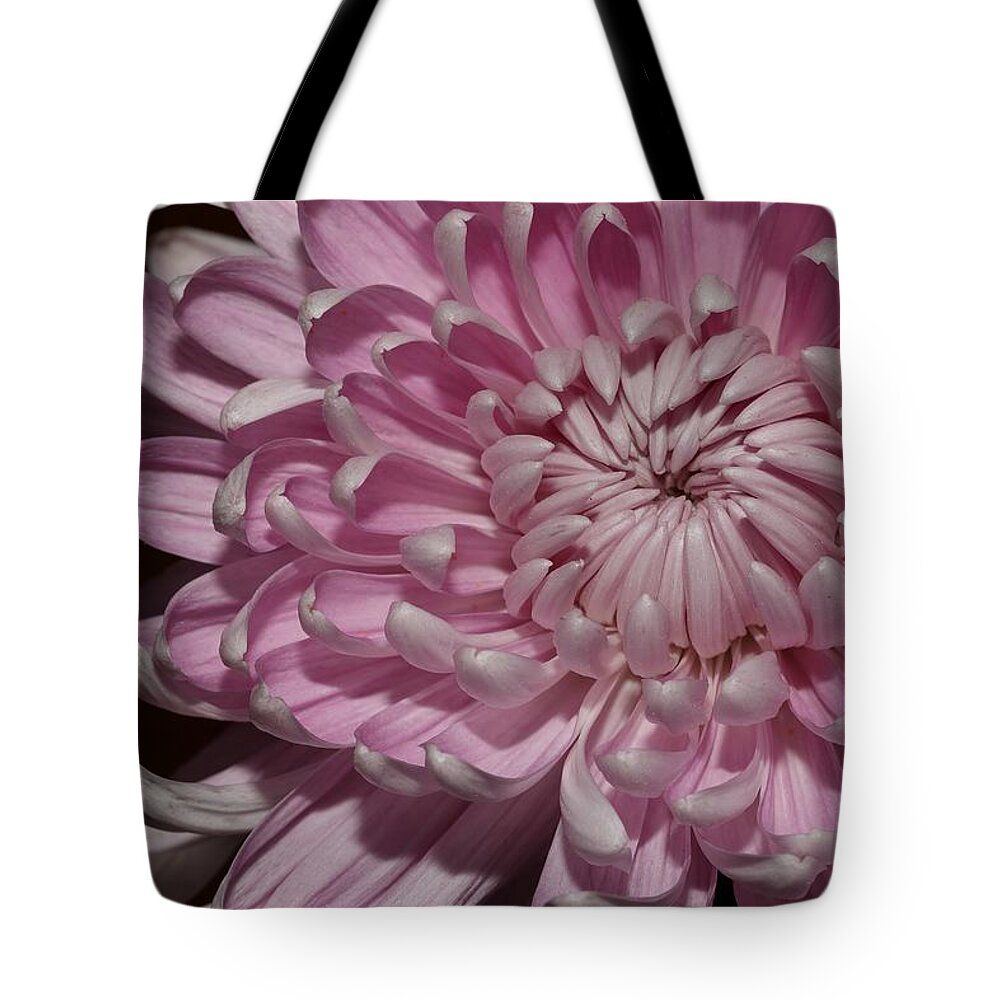 Chrysanthemum Tote Bag featuring the photograph Pink Chrysanthemum 2 by Mingming Jiang