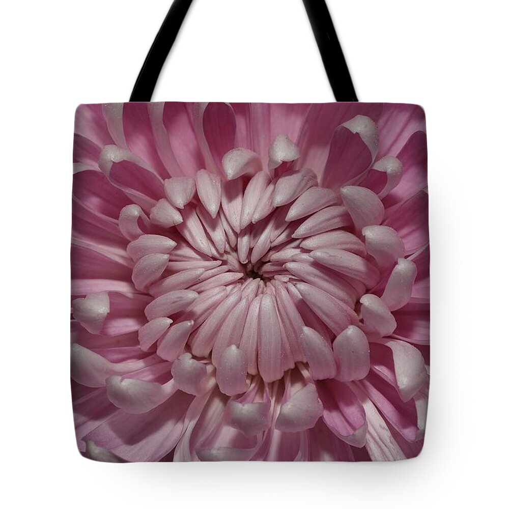Chrysanthemum Tote Bag featuring the photograph Pink Chrysanthemum 3 by Mingming Jiang