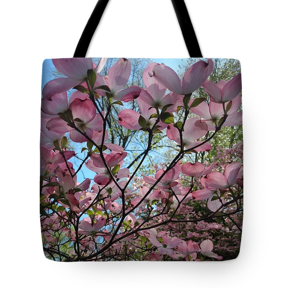 Pink Tote Bag featuring the photograph Pink Dogwood Tree in Bloom by Christopher Lotito