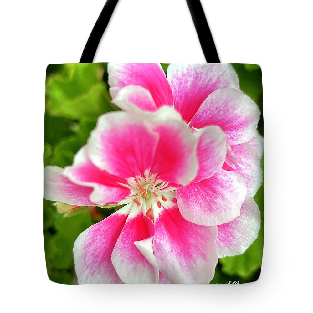 Geranium Tote Bag featuring the photograph Pink Geranium by CAC Graphics